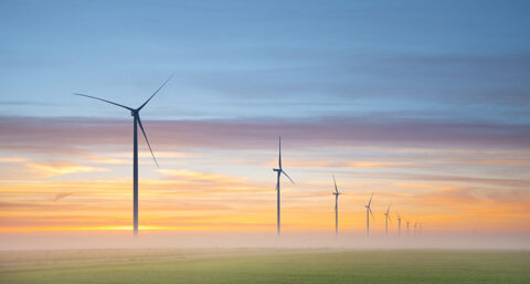 Helft elektriciteit nu uit hernieuwbare bron