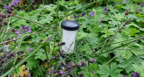 Tuinverlichting: meer dan een lichtplan