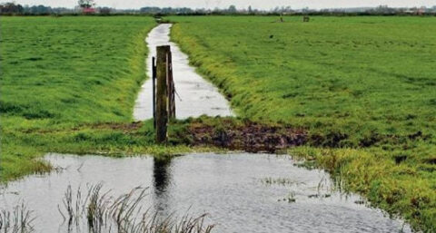 ‘Waterschappen maken hoge duurzaamheidsambities waar’