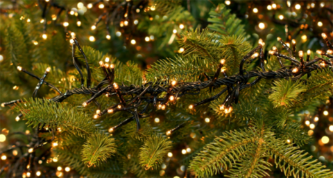 Nederland viert Kerst bij LED-licht