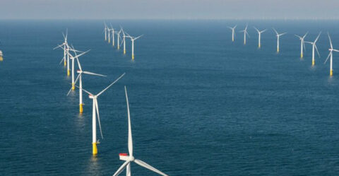 ‘De helft van alle opgewekte stroom in 2023 was hernieuwbaar’