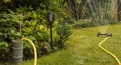 Meerderheid Nederlanders ziet waterverspilling als probleem, maar ‘doet zelf al genoeg’