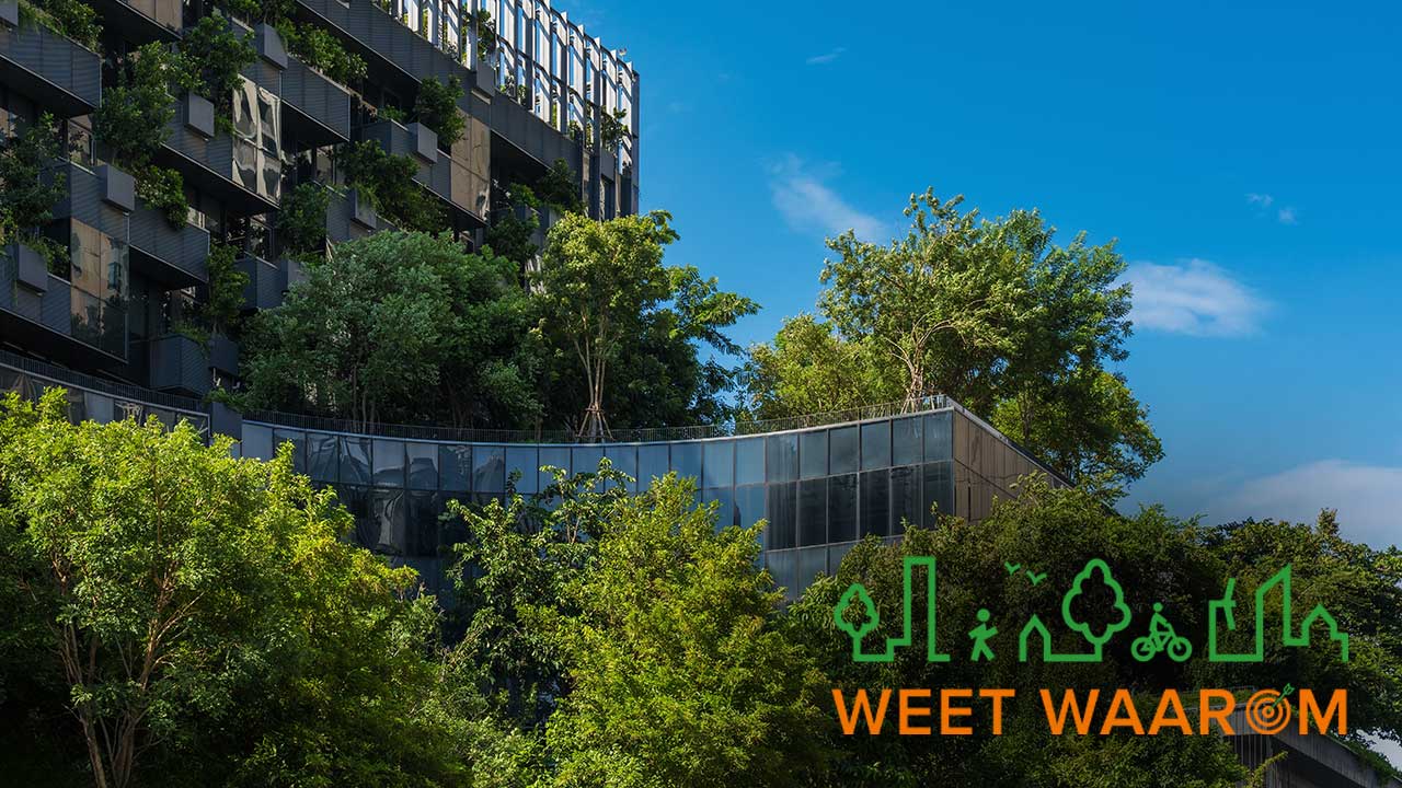 Dutch Green Building Week 2025